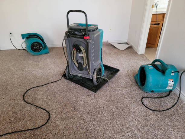 Best Water damage restoration process  in Oakland, OK