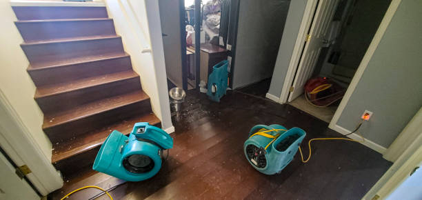 Best Ceiling water damage repair  in Oakland, OK