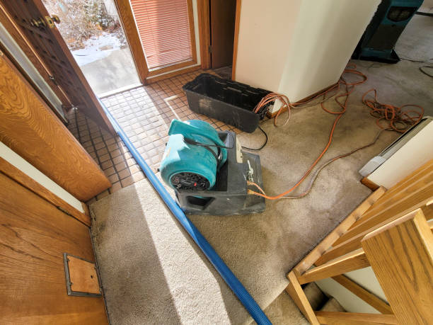  Oakland, OK Water damage restoration Pros
