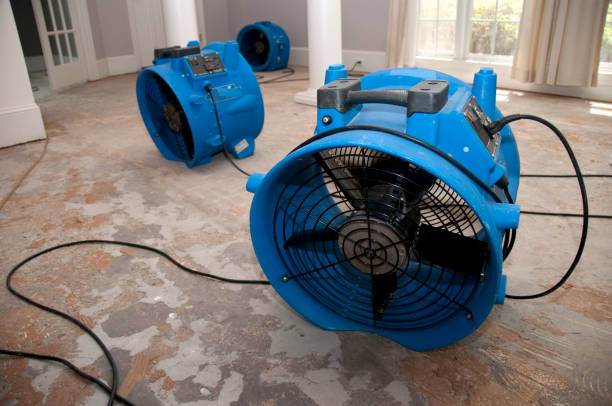 Best Local water damage restoration  in Oakland, OK