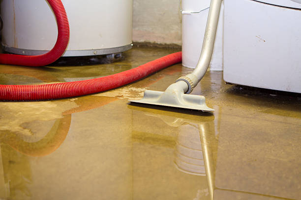 Best Water damage restoration near me  in Oakland, OK